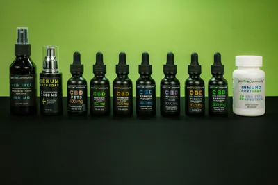 CBD für Hunde: Was Tierhalter wissen müssen